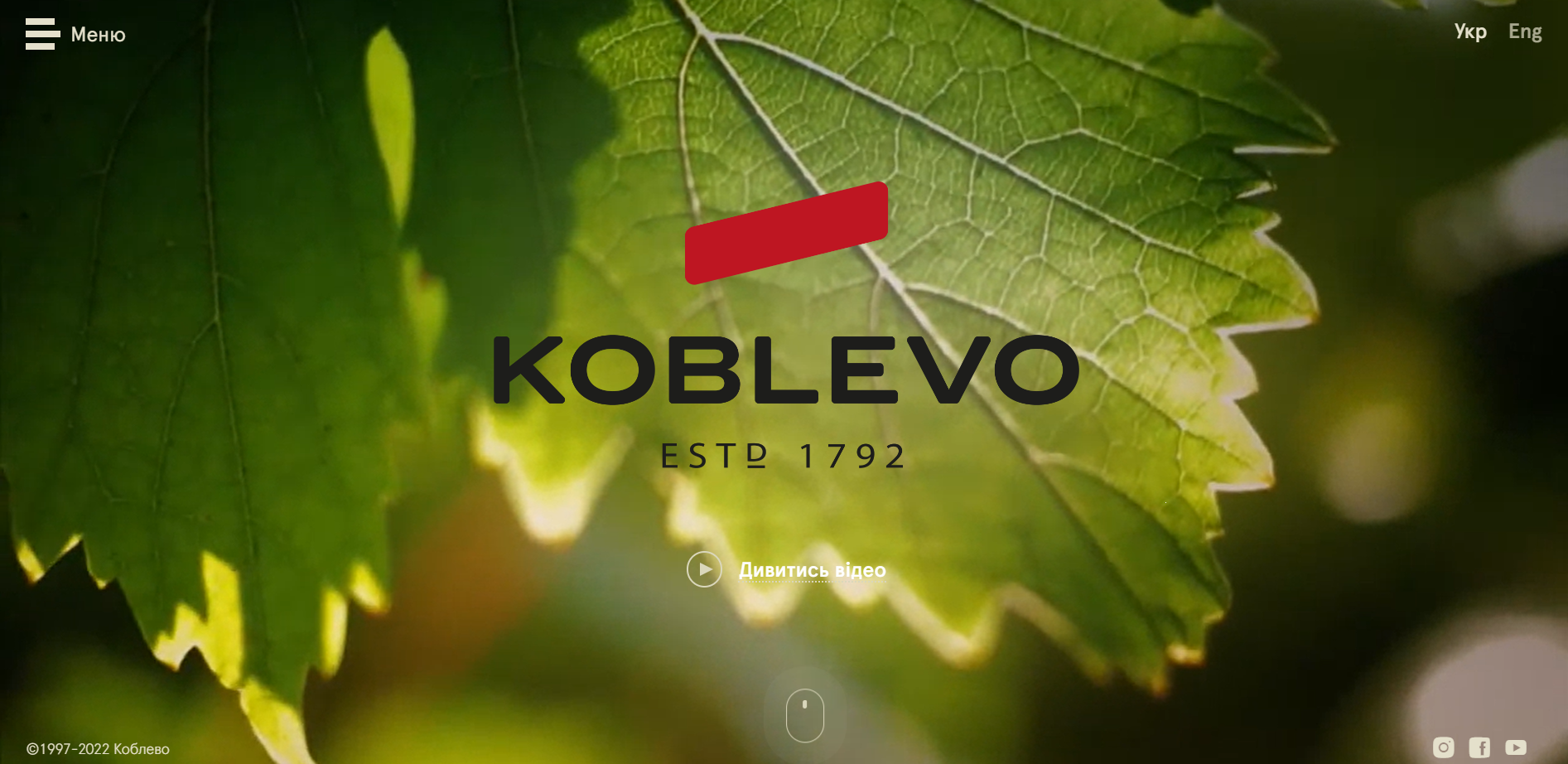 Screenshot of Koblevo website